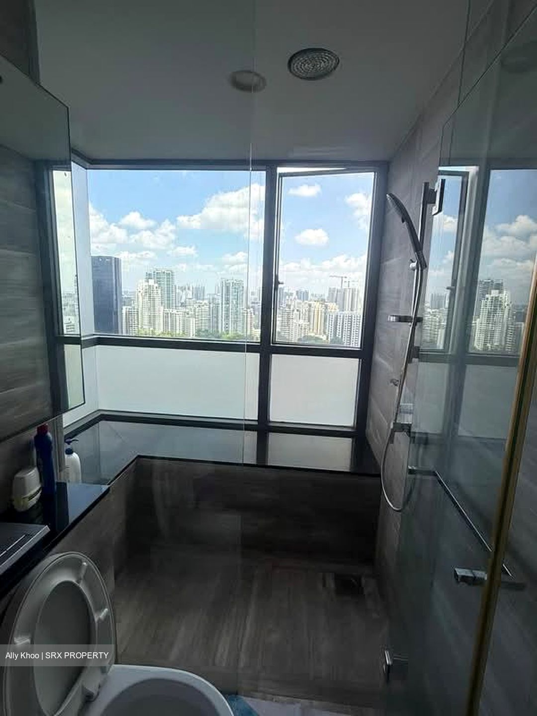 Cityscape @ Farrer Park (D8), Condominium #560188711